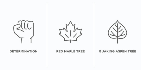 Poster - nature outline icons set. thin line icons such as determination, red maple tree, quaking aspen tree vector. linear icon sheet can be used web and mobile