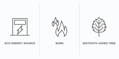 Poster - nature outline icons set. thin line icons such as eco energy source, burn, bigtooth aspen tree vecto