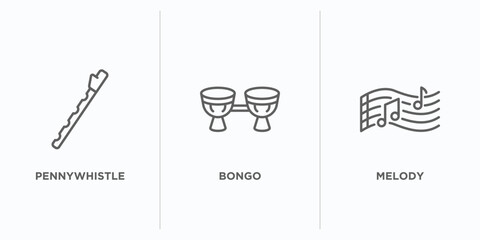 Poster - music outline icons set. thin line icons such as pennywhistle, bongo, melody vector. linear icon she