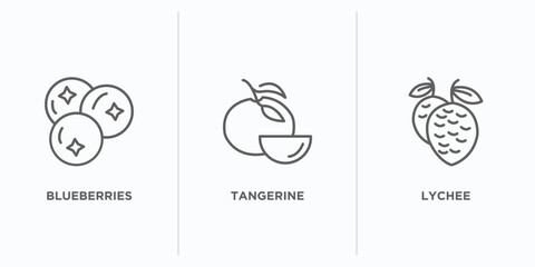 Poster - fruits and vegetables outline icons set. thin line icons such as blueberries, tangerine, lychee vector. linear icon sheet can be used web and mobile