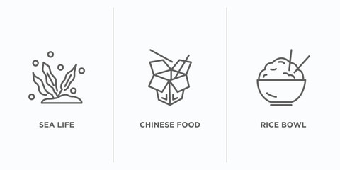 Poster - food outline icons set. thin line icons such as sea life, chinese food, rice bowl vector. linear icon sheet can be used web and mobile
