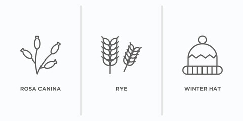 Poster - autumn outline icons set. thin line icons such as rosa canina, rye, winter hat vector. linear icon sheet can be used web and mobile