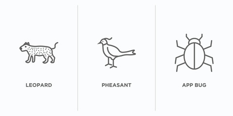 Poster - animals outline icons set. thin line icons such as leopard, pheasant, app bug vector. linear icon sheet can be used web and mobile