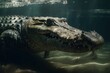 A fierce and intimidating Saltwater Crocodile lurking in the water, showing off its fierce and intimidating nature. Generative AI