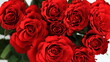 kwiaty róże koloru czerwonego w ujęciu makro 