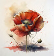 Watercolour red poppy flower on a white background Generative AI illustration as a symbol of war remembrance on Anzac day and Armistice Day.	