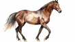 illustrazione stile acquerello di cavallo maestoso marrone , frisone,  creato con intelligenza artificiale su fondo bianco scontornabile