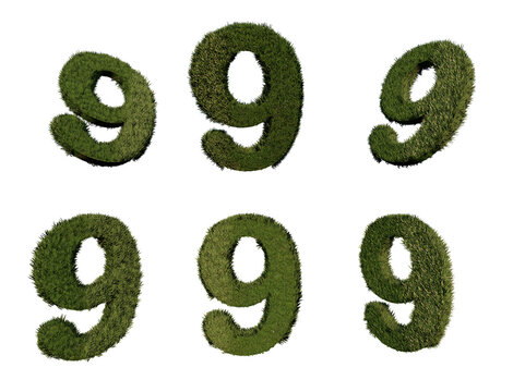 3d rendering number 9 from grass in different positions