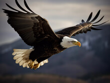 A Flying Eagle