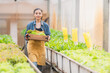 © chokniti - Farmer woman holding wooden box or basket with full of fresh raw vegetables in local farm or green house, Young attractive Asian woman or Pretty gardener harvesting a crop of food plant for business