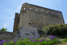 Old Fortress In Ruins Of Chateauneuf Du Pape With Blue Iris In Bloom Up Front In  The South Of France