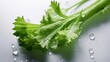 fresh celery with drops of water on a white background