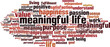 Meaningful life word cloud concept. Collage made of words about meaningful life. Vector illustration 