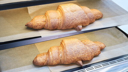 Poster - Delicious bread buns in a bakery or supermarket