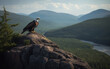 Bald Eagle perched a top rocky cliff with mountain background. Generative AI