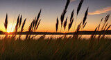 Fototapeta Natura - sunset on the lake  made by generative AI