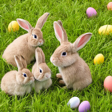 Cute Rabbit With Easter Eggs In The Green Meadow
