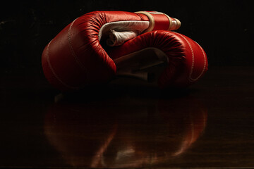 The Power of Two: A Romantic Pair of Boxing Gloves