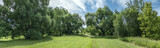 Fototapeta Na ścianę - green grass meadow and trees with lush foliage. summer park panoramic landscape in sunny day.