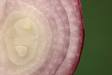 Wall Mural - Half cut sliced purple onion ring macro closeup  on green background