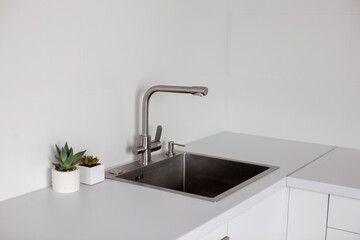 Kitchen interior in white color with sink and plant in white pots. 