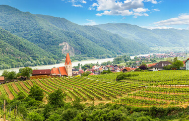 Wall Mural - Scenic spring view to Wachau valley with the river Danube and town Weissenkirchen. Austria.