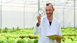 © Prathankarnpap - Portrait of Agricultural scientists with magnifying glass and clipboard standing among vegetable in an industrial greenhouse
