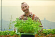 © Prathankarnpap - Smiling caucasian male organic food grower holding crate of seedlings ready for planting in greenhouse