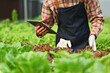 © Prathankarnpap - Cropped image of smart farmer hand holding digital tablet, supervising organic vegetable in greenhouse