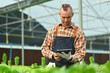 © Prathankarnpap - Farmer analyzing farming data on digital tablet at hydroponic greenhouse. Innovation technology for smart farm system concept