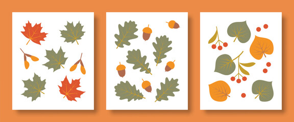 Vector illustration abstract still life of plant leaves and their fruits in pastel colors. Set of illustrations of maple, oak, linden.