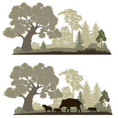 Wall Mural - Forest landscape with wild pig and  cubs silhouettes , green colors, vector illustration.