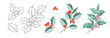 Set of different branches of mistletoe flowers isolated. Watercolor, line art, outline illustration. 