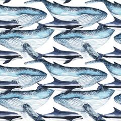  watercolor whale and doplphin pattern cute ocean animal. Watercolor cute whale and doplphin pattern. Hand painting postcard with whale isolated white background. Ocean animals.