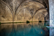 Italy, Tuscany, Siena, Fish Swimming Inside Historic Fontebranda Fountain