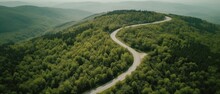 Bird's-eye view of the road in the middle of the forest.Aerial view. Panoramic shot. Generative AI