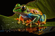 Beautifully colored tropical frog in the jungle on a leaf. Exotic rainforest cute little toad. Forest fauna. Ai generated
