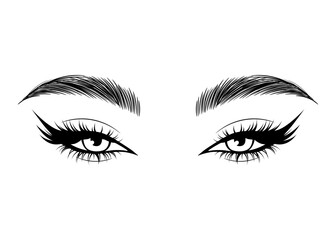 Wall Mural - Vector Hand drawn beautiful female eyes with long black eyelashes and brows close up.