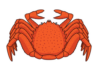 Wall Mural - Japanese hairy crab called Kegani drawing in vector