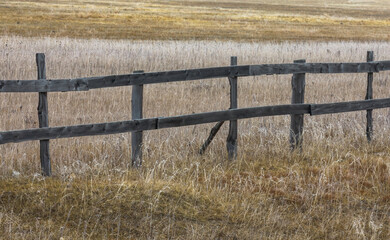 Wall Mural - Old wooden fence on yellow rural field with color full grass in countryside in autumn