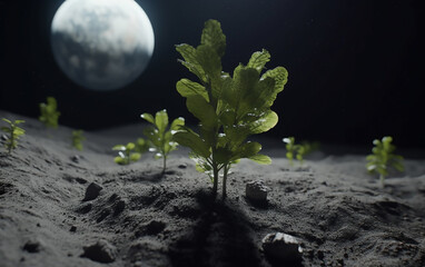 Wall Mural - fresh green plant sprouting from the coarse moon surface with a detailed earth backdrop, representin