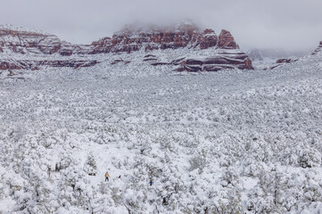 Poster - Scenic Snow Covered Landscape of Sedona Arizona in Winter