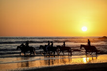 Sunset On The Beach Horses Costa Rica Nosara Santa Teresa Beautiful Golden Hour Nature Guiones