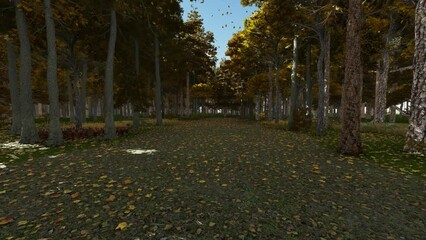 Wall Mural - Beautiful forest in Autumn, walk on a path, yellow leaves in the trees