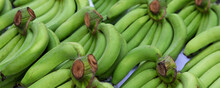 Green Bananas At The Fruit Market Stall