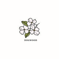 line art dogwood branch drawing