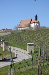 Wall Mural - Maria im Weingarten bei Volkach