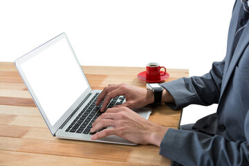 Poster - Businessman using laptop