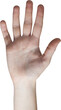 Cropped hand of woman