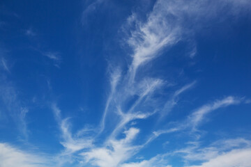 Wall Mural - Blue sky